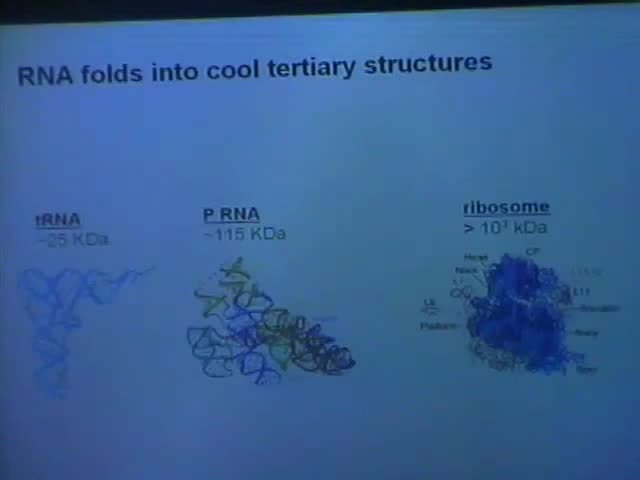 RNA Folding During Transcriptions Facilitated by Non-native Structures Thumbnail