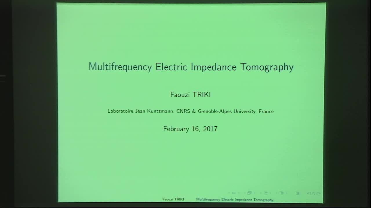 Identification of an Inclusion in Multifrequency Electrical Impedance Tomography Thumbnail