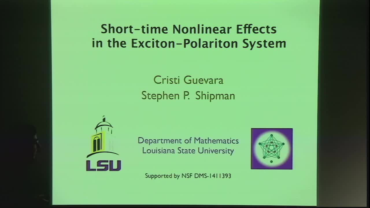 Short-Time Behavior of the Exciton-Polariton Equations Thumbnail