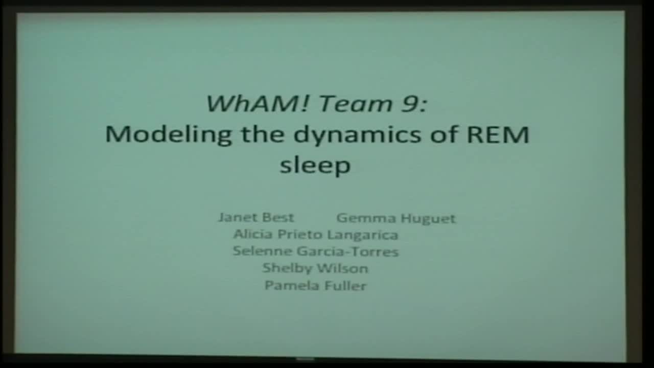 Modeling the Dynamics of REM Sleep Thumbnail