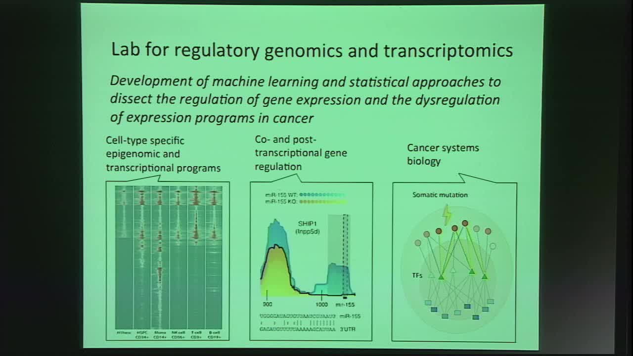 Epigenomic programs in immune cells and response to immunotherapy Thumbnail