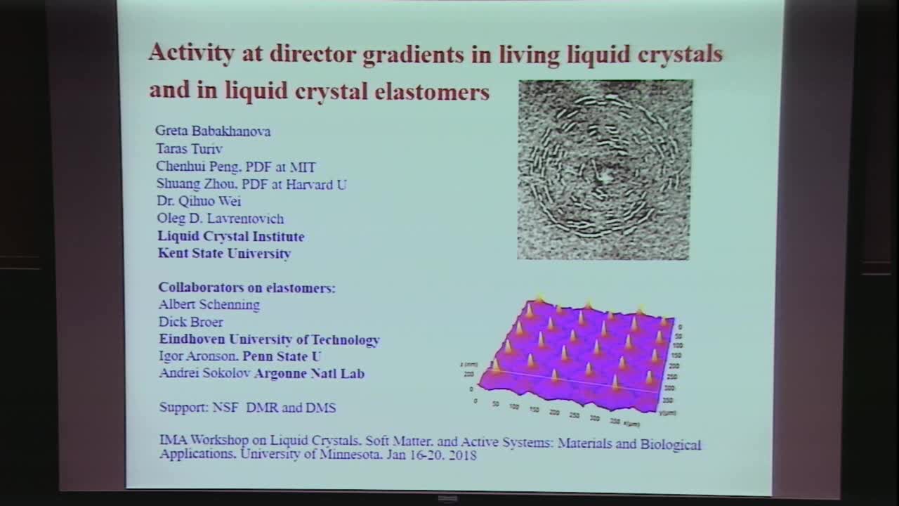 Activity at director gradients in living liquid crystals and in liquid crystal elastomers Thumbnail