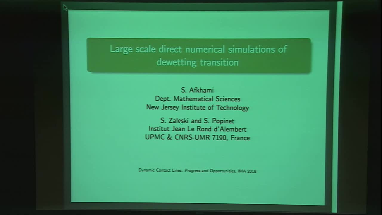 Large scale direct numerical simulations of dewetting transition Thumbnail