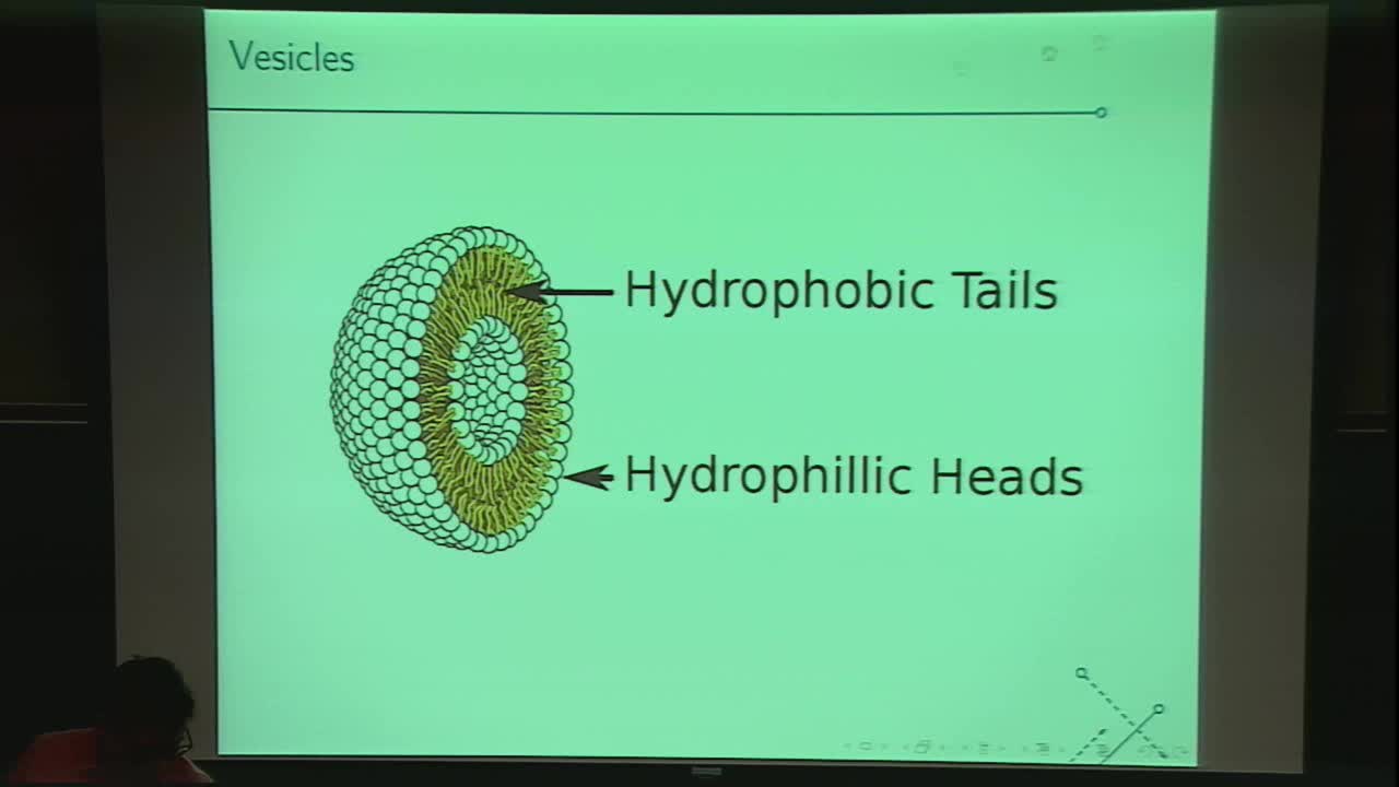 Three-Dimensional Multicomponent Vesicles -- Methods and Electrohydrodynamics Thumbnail