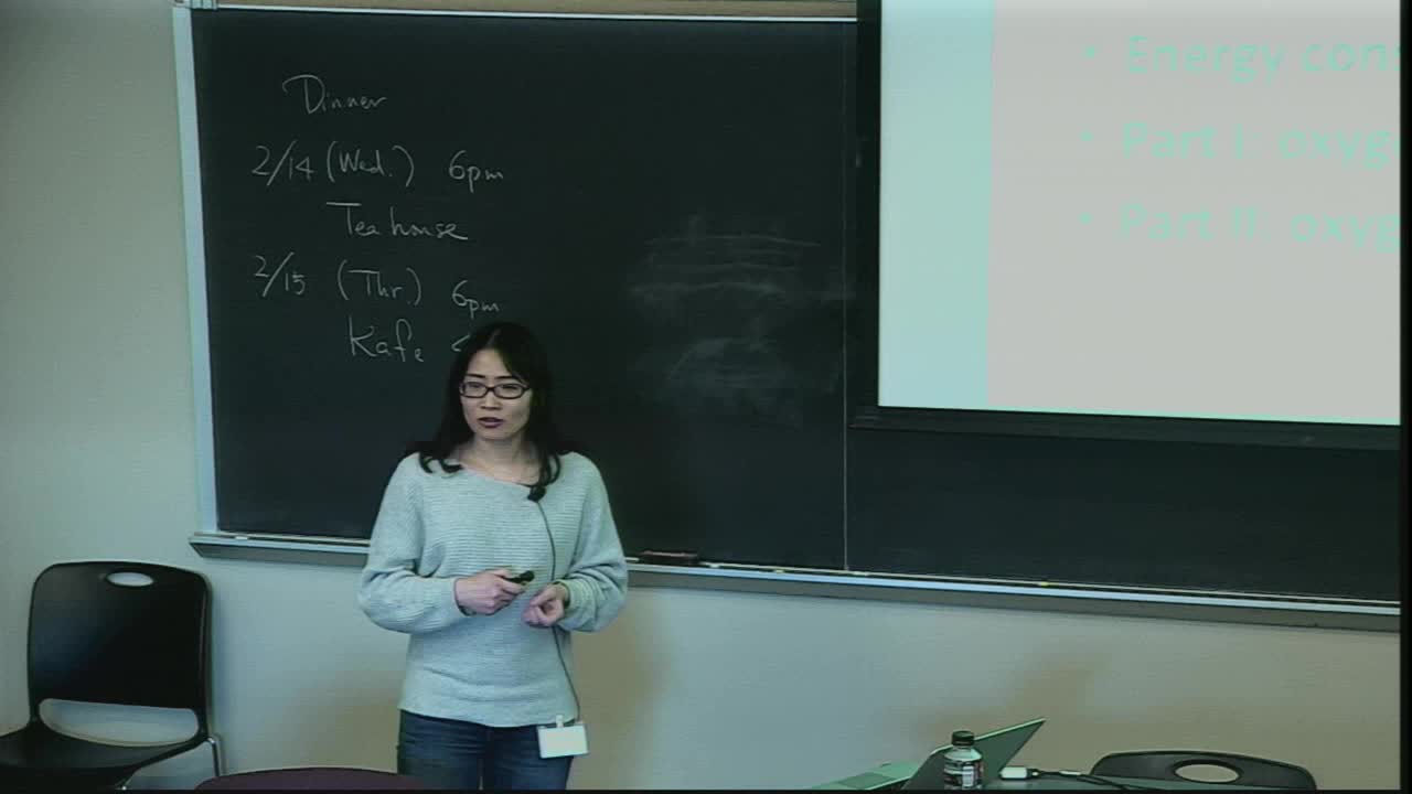 The role of oxygen on the dynamics of seizure and spreading depression Thumbnail