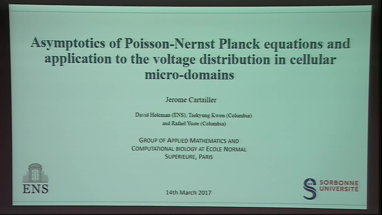 Asymptotics of Poisson-Nernst-Planck equations and application to the voltage distributions in cellular micro-domains Thumbnail