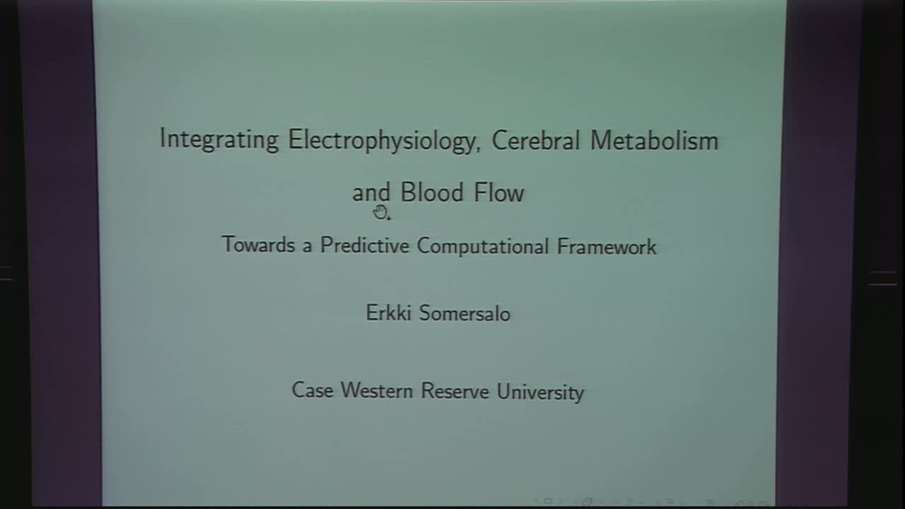 Integrating electrophysiology, cerebral metabolism and blood flow: Towards a predictive computational framework Thumbnail