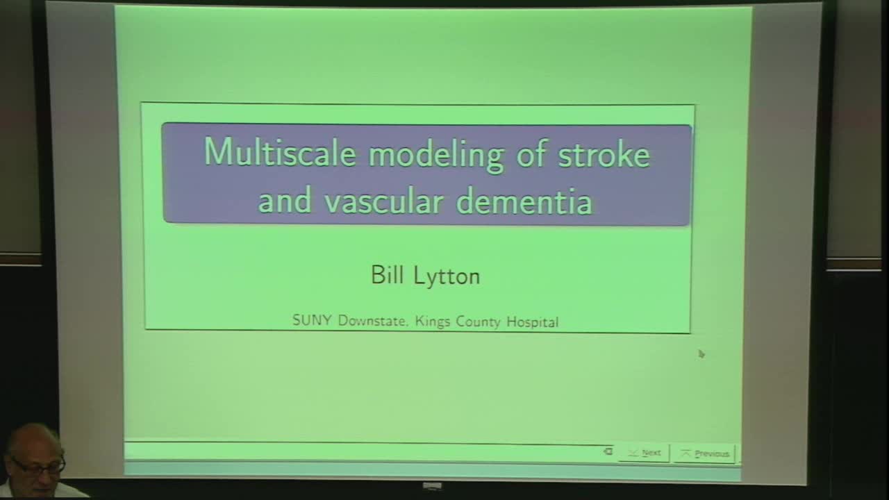 Multiscale modeling of stroke and vascular dementia Thumbnail