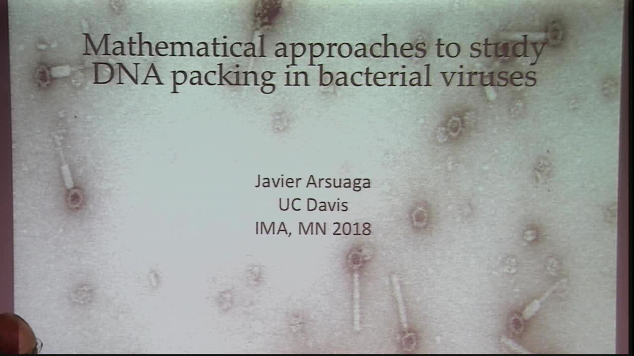 Mathematical approaches to the problem of DNA organization inside bacterial viruses  Thumbnail