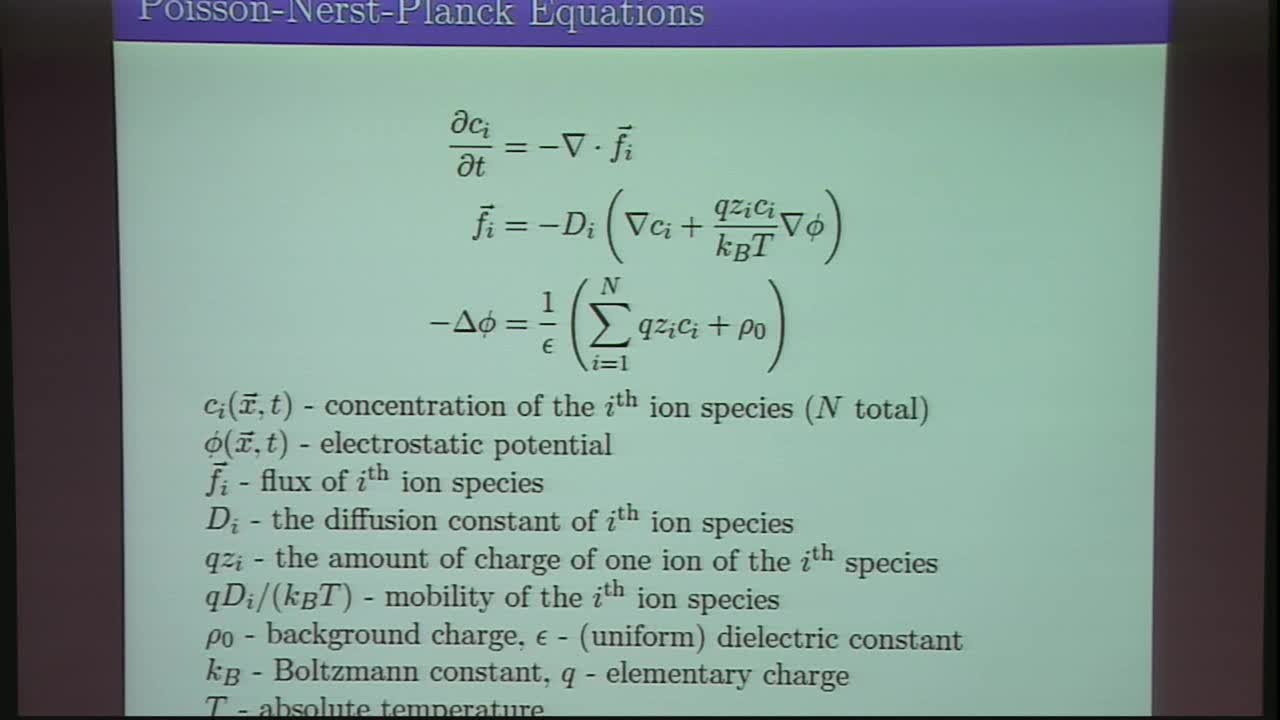 Using Brownian Motion Processes to Compute the Electroneutral Limit of Electrodiffusion Thumbnail