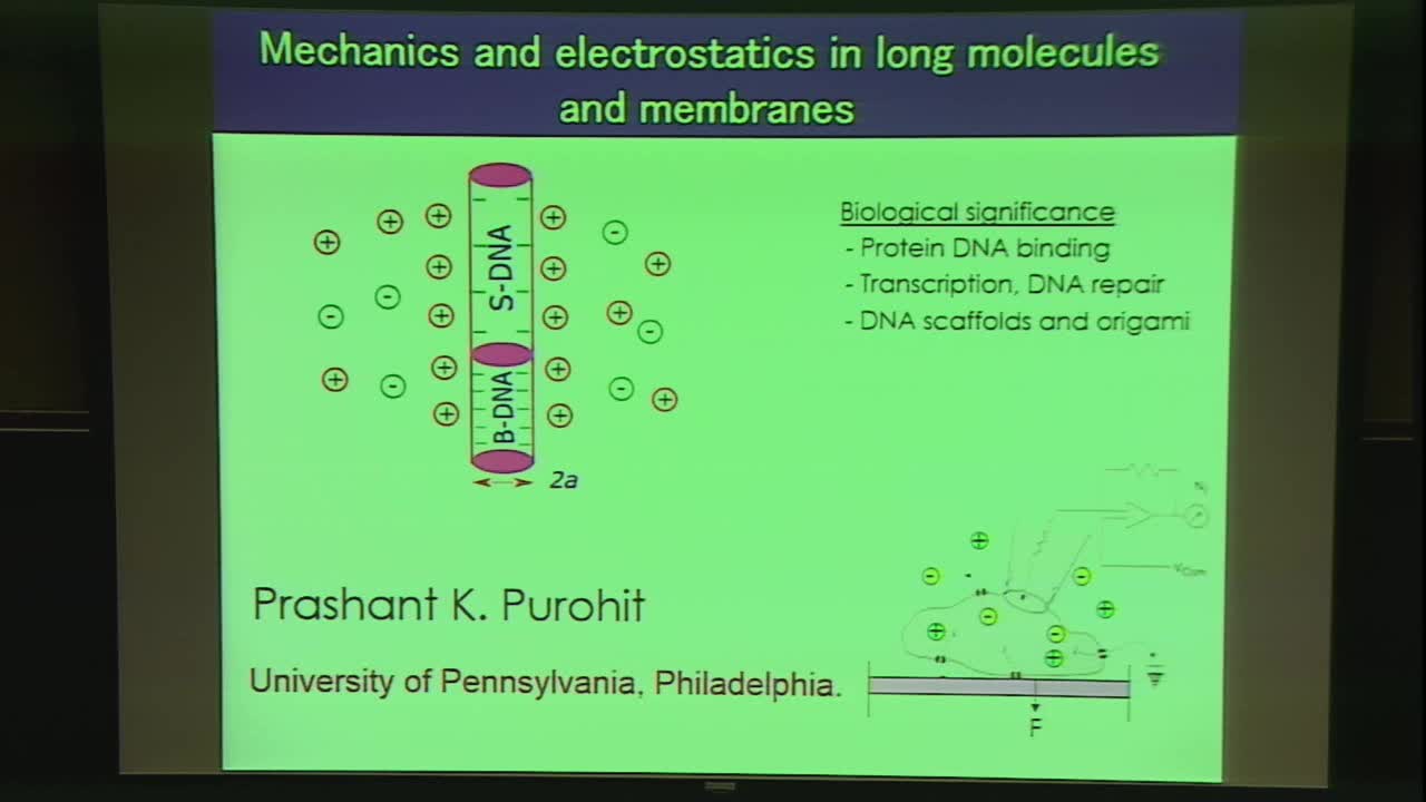 Mechanics and electrostatics in long molecules and membranes Thumbnail