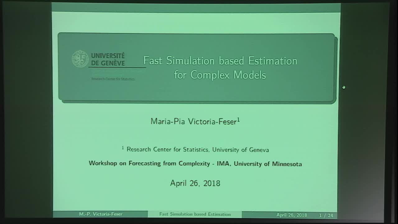 Fast Simulation based Estimation for Complex Models Thumbnail