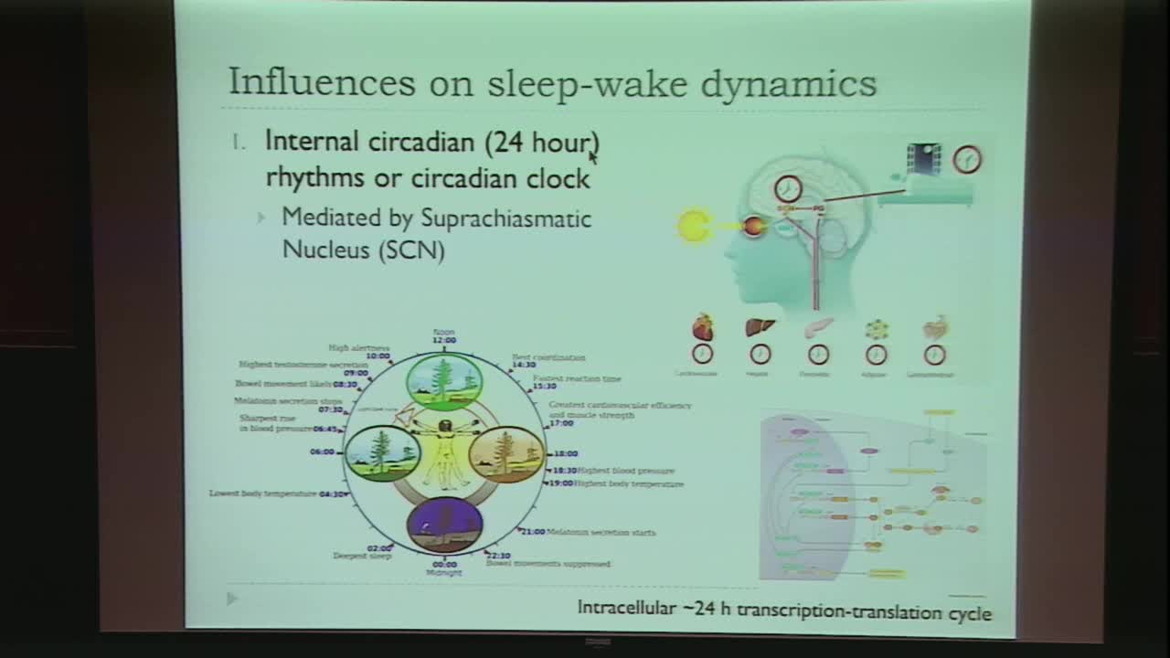 Piecewise smooth maps for the circadian modulation of sleep-wake dynamics Thumbnail