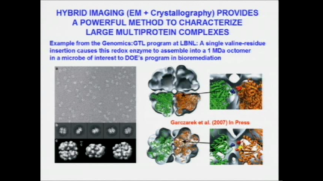 In-focus phase contrast for electron microscopy of unstained or poorly stained molecular and subcellular structures Thumbnail