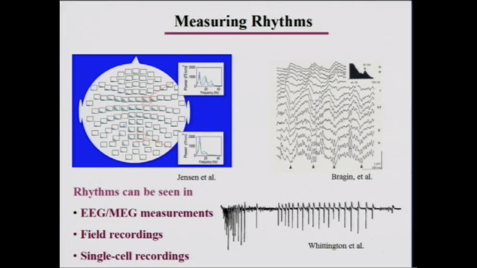 Rhythmic Dynamics of the Nervous System Thumbnail