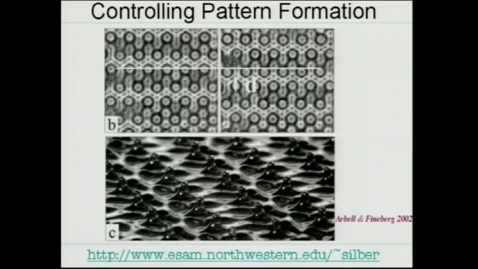 Controlling Pattern Formation Thumbnail