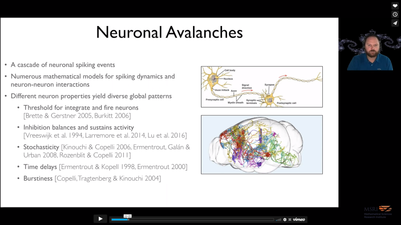 Geometrical and topological data analyses reveal that higher-order structures provide flow channels for neuronal avalanches Thumbnail