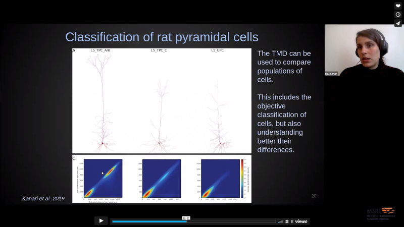 Topological insights on neuronal morphologies Thumbnail