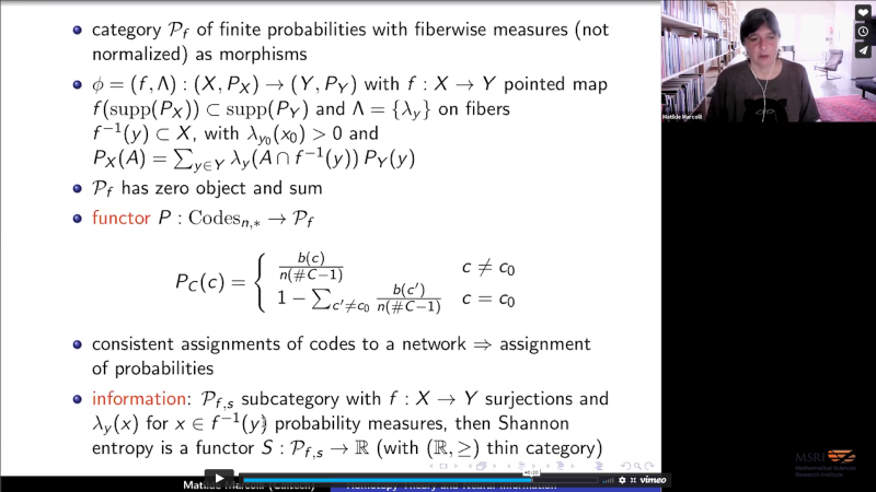 Homotopy Theoretic and Categorical Models of Neural Information Networks Thumbnail