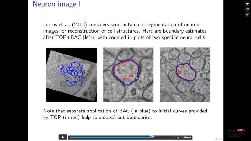 Combining Geometric and Topological Information for Boundary Estimation Thumbnail