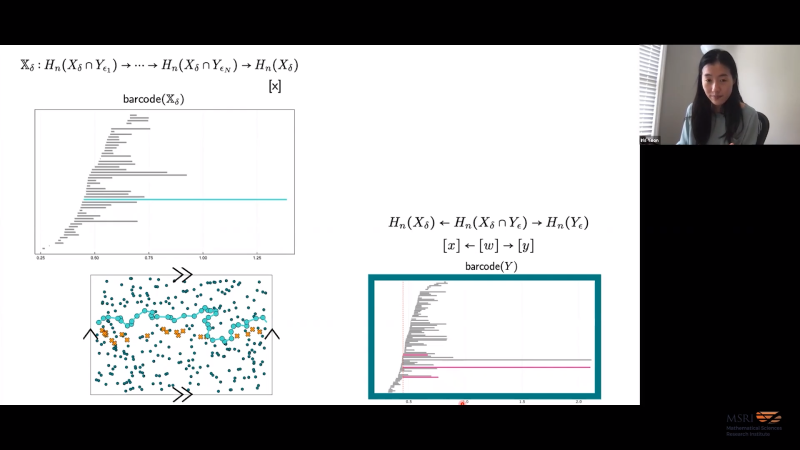 Identifying analogous topological features across multiple systems Thumbnail