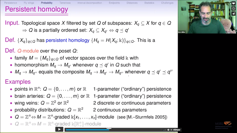 Persistent homology in one or more parameters Thumbnail