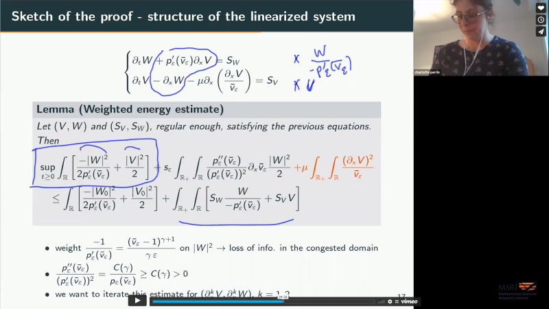 Handling congestion in fluid equations Thumbnail