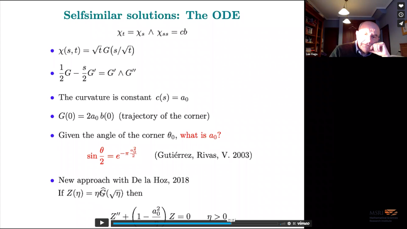 Riemann's non-differentiable function and the binormal curvature flow Thumbnail