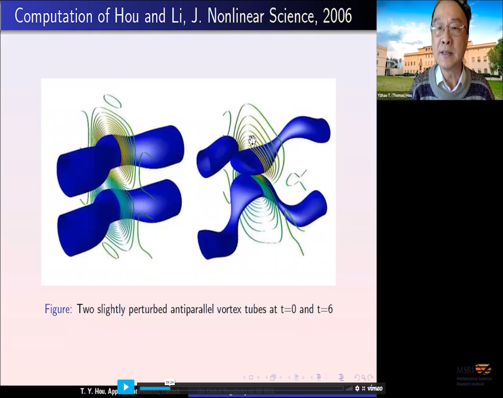 Potential Singularity Formation of the 3D Euler Equations and Related Models Thumbnail