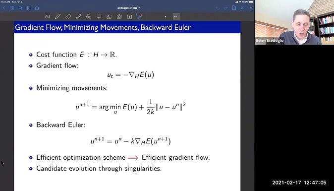 Variational extrapolation of numerical schemes for gradient flows Thumbnail