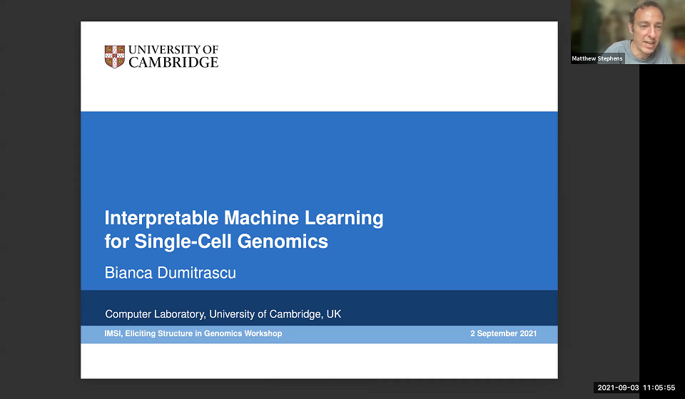 Machine learning for actionable, interpretable marker selection in -omics studies Thumbnail