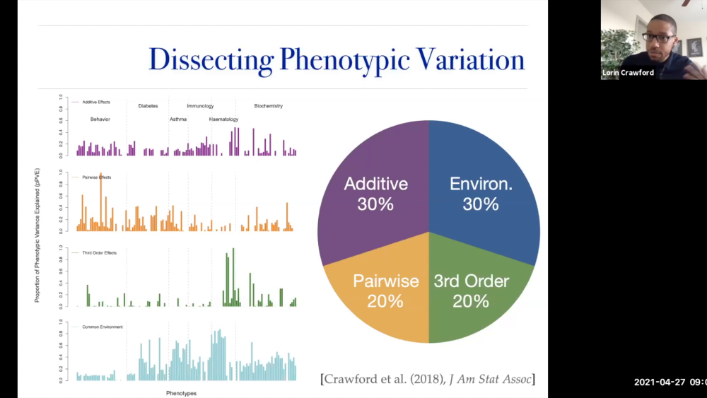 Statistical Frameworks for Mapping 3D Shape Variation onto Genotypic and Phenotypic Variation Thumbnail