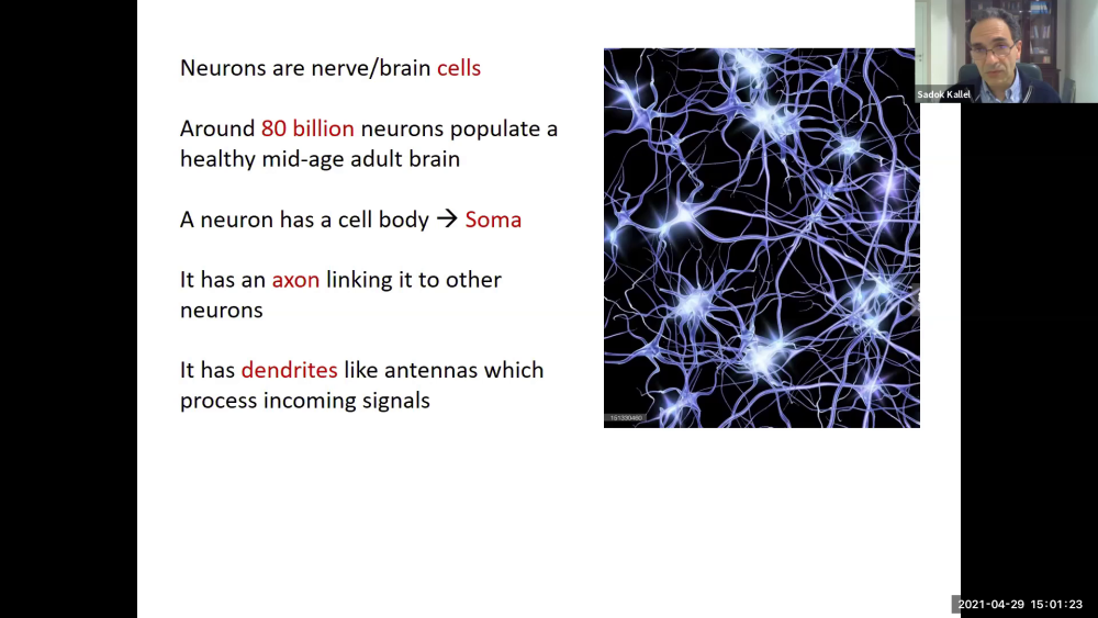 Topological Sholl Descriptors for Neuronal Clustering and Classification Thumbnail