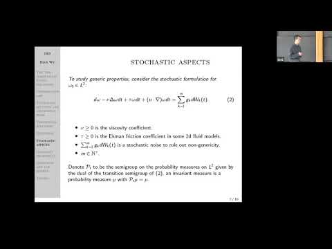 Deterministic and stochastic aspects of two-dimensional fluid Thumbnail