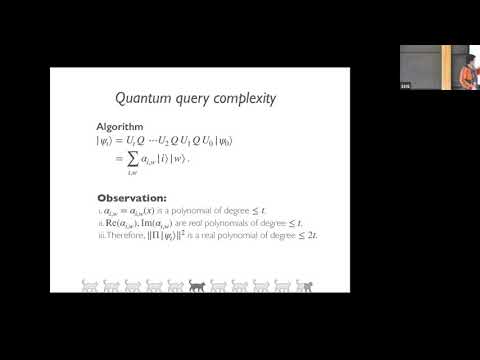 Black Cats, White Cats, and Shrodinger's Cats - Classical and Quantum Computation via Query Complexity Thumbnail