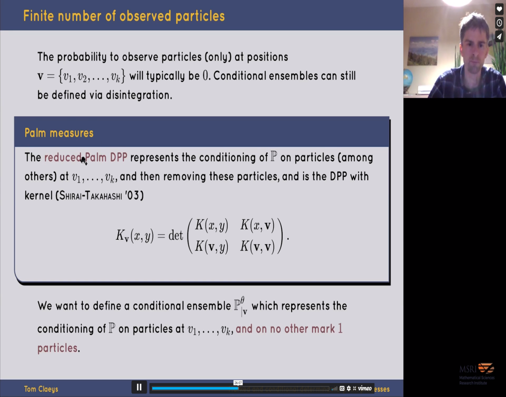 Marked and Conditional Determinantal Point Processes Thumbnail