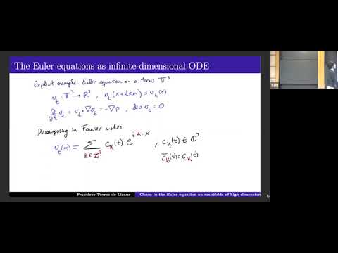 Chaos in the incompressible Euler equation on manifolds of high dimension Thumbnail