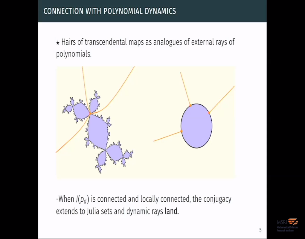 Transcendental Entire Functions with Cantor Bouquet Julia Sets Thumbnail