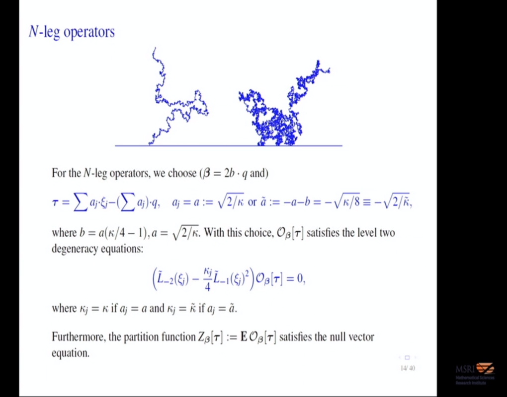 Conformal Field Theory for Multiple Schramm-Loewner Evolutions Thumbnail