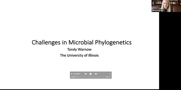 Challenges and progress in phylogeny estimation on very large numbers of sequences Thumbnail