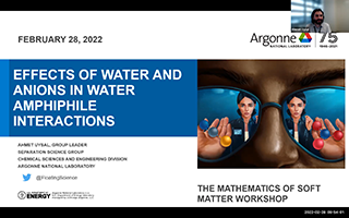 Effects of Water and Anions in Metal-Amphiphile Interactions Thumbnail