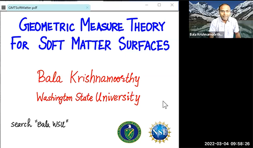 Applications of Geometric Measure Theory to Soft Matter Surfaces Thumbnail