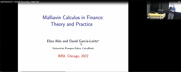 A Malliavin calculus approach to volatility modelling Thumbnail