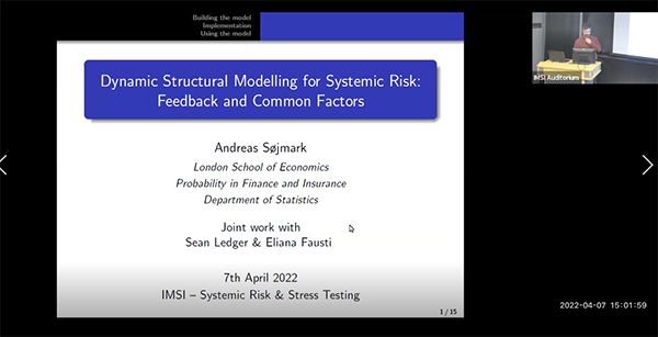 Systemic risk in dynamic structural models: feedback vs. common factors Thumbnail