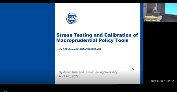 Stress Testing and Calibration of Macroprudential Policy Tools Thumbnail