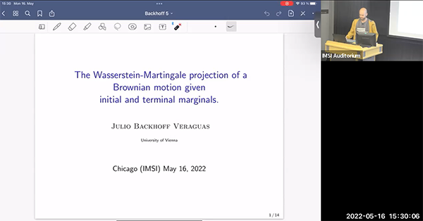 The Wasserstein-Martingale projection of a Brownian motion given initial and terminal marginals. Thumbnail