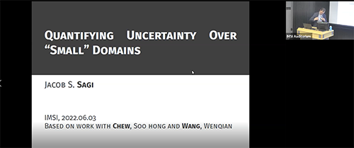 Quantifying Uncertainty Over “Small” Domains Thumbnail