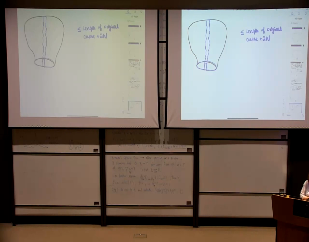 Metric Geometry and Geometric Analysis (Oxford, United Kingdom): "Lecture & Mini-Course 1: "Geometric Inequalities: Homotopies, Fillings and Geodesics"" Thumbnail