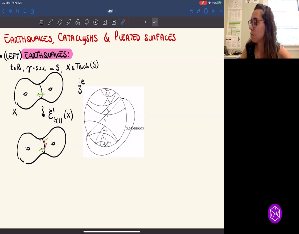 Connections Workshop: Analytic and Geometric Aspects of Gauge Theory: "Some New Results in Higher Teichmüller Theory" Thumbnail