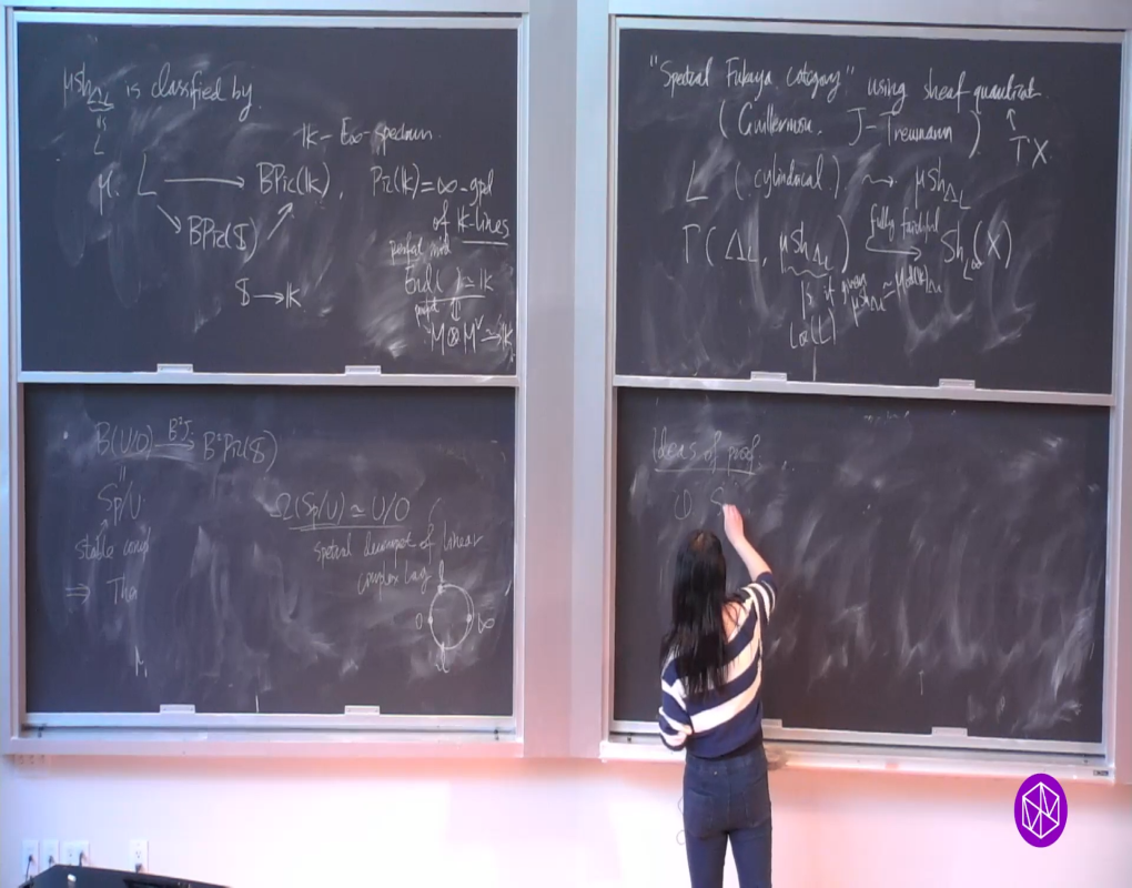 Floer Homotopical Methods in Low Dimensional and Symplectic Topology Workshop: Microlocal Sheaves of Spectra Supported on Lagrangians Thumbnail